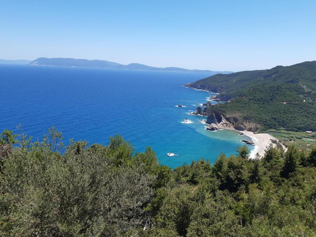 Kouros Villa! Pálci Pilíu Kültér fotó