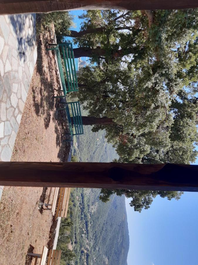 Kouros Villa! Pálci Pilíu Kültér fotó
